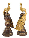 White Whale Brass Peacock Statue figurine Sculpture for Home Office Decor