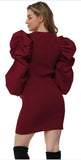 Whitewhale Women Bodycon Maroon  Dress